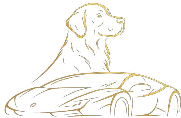 Golden Rent Car